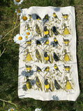 Hedgerow teatowels yellow